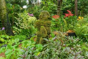 singapur Gardens im Asien foto