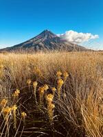 montieren taranaki im Sommer- foto