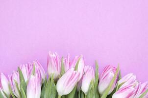 Blumen- Hintergrund mit Tulpen Blumen. eben legen, oben Sicht. schön Gruß Karte mit Tulpen zum Mütter Tag, Hochzeit oder glücklich Veranstaltung foto