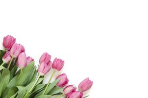 Blumen- Hintergrund mit Tulpen Blumen auf Weiß Hintergrund. eben legen, oben Sicht. schön Gruß Karte mit Tulpen zum Mütter Tag, Hochzeit oder glücklich Veranstaltung foto