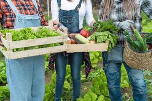 weiblich Bauern Arbeiten im Landschaft halten hölzern Korb enthält frisch Gemüse - - Bauernhof Menschen Lebensstil Konzept foto