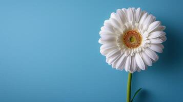 ai generiert frisch Sommer- Blume auf Blau Hintergrund mit Kopieren Raum foto