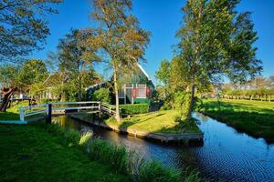 Bauernhof Häuser im das Museum Dorf von zaanse schans, Niederlande foto