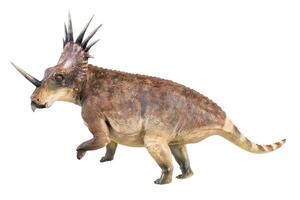 Styracosaurus Dinosaurier auf isoliert Hintergrund foto