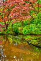 japanisch Garten, Park Clingendael, das Haag, Niederlande foto