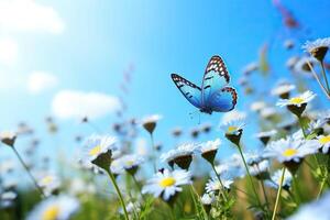 ai generiert Nahansicht von ein Blau Schmetterling flattern Über ein Kamille Feld. generiert durch künstlich Intelligenz foto