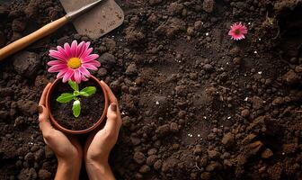 ai generiert oben Perspektive von Hände mit ein Blume, bereit zu Anlage, neben Gartenarbeit Ausrüstung foto