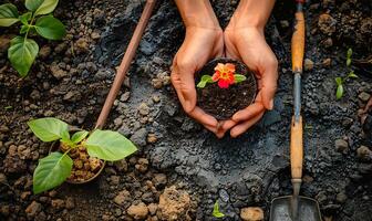 ai generiert oben Perspektive von Hände mit ein Blume, bereit zu Anlage, neben Gartenarbeit Ausrüstung foto