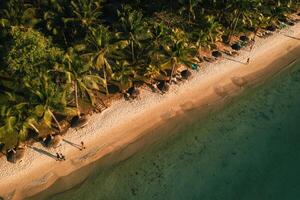 auf das schön Strand von das Insel von Mauritius entlang das Küste. Schießen von ein Vogel Auge Aussicht von das Insel von Mauritius. foto