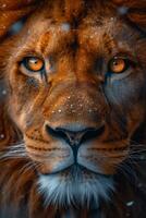 ai generiert Porträt von ein Löwen Schnauze im Nahansicht. das Löwen Kopf foto
