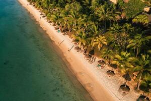 auf das schön Strand von das Insel von Mauritius entlang das Küste. Schießen von ein Vogel Auge Aussicht von das Insel von Mauritius. foto