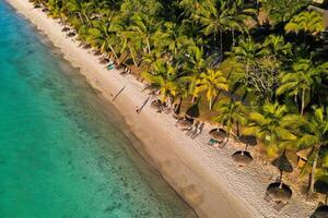 auf das schön Strand von das Insel von Mauritius entlang das Küste. Schießen von ein Vogel Auge Aussicht von das Insel von Mauritius. foto