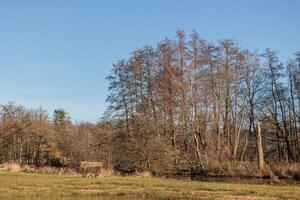 das schloss gemen in westfalen foto