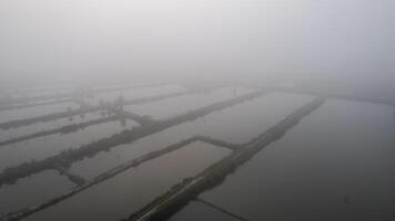 neblig Antenne Fisch Teiche ätherisch Landschaft foto