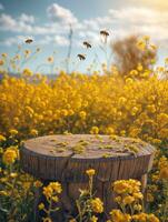 ai generiert hölzern Plattform im das Mitte von ein Feld von Gelb Blumen und Bienen fliegend um foto