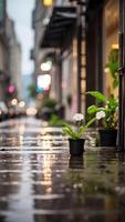 ai generiert Blume von das nass Straße, regnerisch Morgen, Ausruhen Bewegung foto