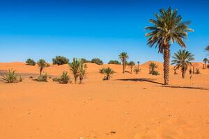 Sand Dünen von Erg chebbi int er Sahara Wüste, Marokko foto