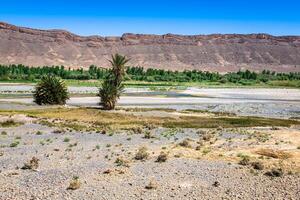 breit Aussicht von Schlucht und kultiviert Felder und Palmen im Errachidien Senke Marokko Norden Afrika Afrika foto