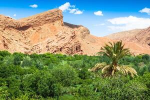 rot Felsen Kalkstein Finger im dades Gorgem Marokko, Afrika foto