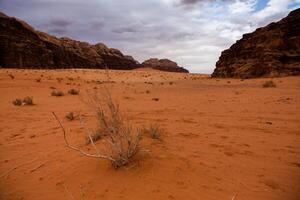 Wadi Rum Wüste im Jordanien. auf das Sonnenuntergang. Panorama von schön Sand Muster auf das Düne. Wüste Landschaft im Jordanien. foto