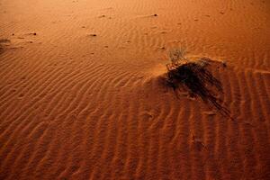 Wadi Rum Wüste im Jordanien. auf das Sonnenuntergang. Panorama von schön Sand Muster auf das Düne. Wüste Landschaft im Jordanien. foto