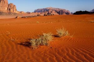 Wadi Rum Wüste im Jordanien. auf das Sonnenuntergang. Panorama von schön Sand Muster auf das Düne. Wüste Landschaft im Jordanien. foto