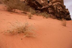 Wadi Rum Wüste im Jordanien. auf das Sonnenuntergang. Panorama von schön Sand Muster auf das Düne. Wüste Landschaft im Jordanien. foto