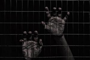 weiblich Hände hinter ein Zaun gemacht von Gittergewebe auf ein schwarz Hintergrund foto