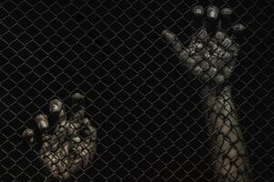 Nahansicht von Hand im Gefängnis, Hände auf ein schwarz Hintergrund, ein Häftling hinter Riegel, gefangen foto