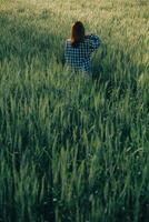 Clever Bauernhof. Farmer mit Tablette im das Feld. Landwirtschaft, Gartenarbeit oder Ökologie Konzept. Ernte. Agro Geschäft. foto