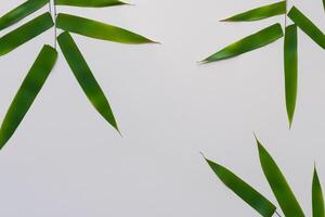 Umarmen das locken von schön Bambus Blätter, wo anmutig Grün Klingen tanzen im harmonisch Symphonie, Erstellen ein still Oase von der Natur Haltung und zeitlos Schönheit foto
