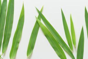 ein kulinarisch Odyssee mit das schön Pandan Blatt, infundieren zart Aromen und beschwingt Grün Farbtöne in exquisit Teller, Erhebung Geschmack Profile mit der Natur frisch Eleganz foto