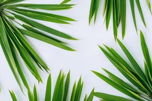 ein kulinarisch Odyssee mit das schön Pandan Blatt, infundieren zart Aromen und beschwingt Grün Farbtöne in exquisit Teller, Erhebung Geschmack Profile mit der Natur frisch Eleganz foto