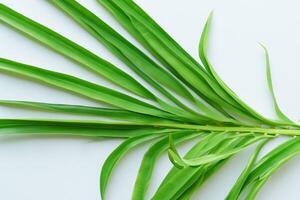 ein kulinarisch Odyssee mit das schön Pandan Blatt, infundieren zart Aromen und beschwingt Grün Farbtöne in exquisit Teller, Erhebung Geschmack Profile mit der Natur frisch Eleganz foto