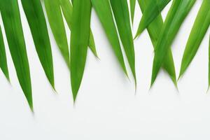 ein kulinarisch Odyssee mit das schön Pandan Blatt, infundieren zart Aromen und beschwingt Grün Farbtöne in exquisit Teller, Erhebung Geschmack Profile mit der Natur frisch Eleganz foto