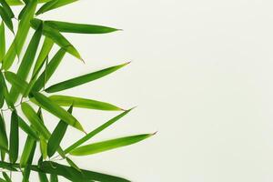 Umarmen das locken von schön Bambus Blätter, wo anmutig Grün Klingen tanzen im harmonisch Symphonie, Erstellen ein still Oase von der Natur Haltung und zeitlos Schönheit foto