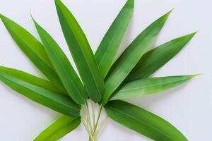 ein kulinarisch Odyssee mit das schön Pandan Blatt, infundieren zart Aromen und beschwingt Grün Farbtöne in exquisit Teller, Erhebung Geschmack Profile mit der Natur frisch Eleganz foto