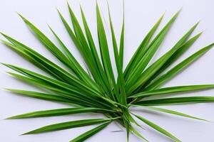 ein kulinarisch Odyssee mit das schön Pandan Blatt, infundieren zart Aromen und beschwingt Grün Farbtöne in exquisit Teller, Erhebung Geschmack Profile mit der Natur frisch Eleganz foto