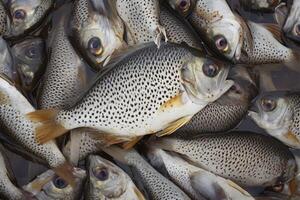 ai generiert fein entdeckt Kaninchenfisch, bawis Fisch verkauft im indonesisch Fisch Märkte foto
