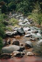 erkunden sentul bogor spektakulär Wasserfälle und Wald Wanderwege. ein Wandern Abenteuer mit freunde im gunung Pancar. atemberaubend Fotografie - - wunderbar Indonesien foto