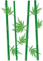 Bambusstamm mit Blättern-Vektor-Illustration foto