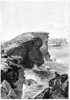 das Dampfer trat ein das Bucht von Hafen Jackson, Jahrgang Gravur. foto