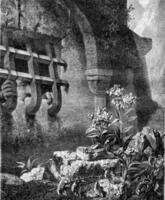 1861 Ausstellung von malen, Picciola, Jahrgang Gravur. foto