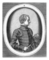 Porträt von König Francis ii von Frankreich foto