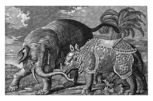 Elefant und Nashorn, Pieter van den Berge, 1686 - - 1696 foto