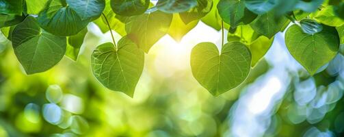 ai generiert schließen oben Herz geformt Blätter hell Himmel symbolisieren Liebe Natur Baum Schutz klar Tag. foto