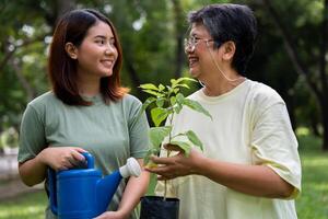 Porträt, asiatisch Familie Mama und Tochter Pflanze Setzling Baum draußen im Natur Park, Konzept von glücklich Pensionierung mit Pflege von ein Pflegekraft und Ersparnisse und Senior Gesundheit Versicherung, glücklich Familie foto