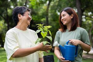 Porträt, asiatisch Familie Mama und Tochter Pflanze Setzling Baum draußen im Natur Park, Konzept von glücklich Pensionierung mit Pflege von ein Pflegekraft und Ersparnisse und Senior Gesundheit Versicherung, glücklich Familie foto