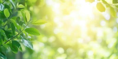 ai generiert schön Natur Aussicht von Grün Blatt auf verschwommen Grün Hintergrund im Garten und Sonnenlicht mit Kopieren Raum foto