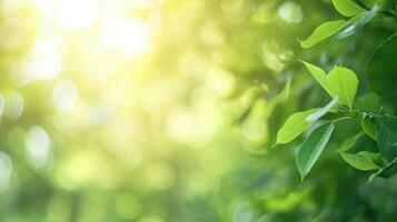 ai generiert schön Natur Aussicht von Grün Blatt auf verschwommen Grün Hintergrund im Garten und Sonnenlicht mit Kopieren Raum foto